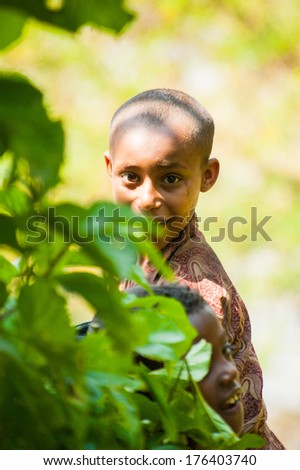 OMO, ETHIOPIA - SEPTEMBER 20, 2011: Unidentified Ethiopian beautifu boy hides behind the leaves. People in Ethiopia suffer of poverty due to the unstable situation