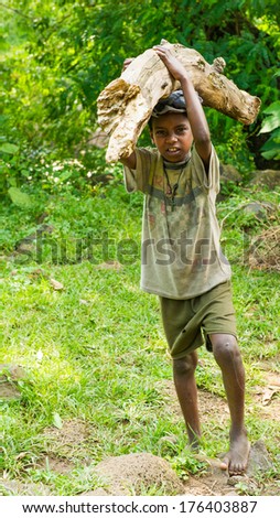 OMO, ETHIOPIA - SEPTEMBER 20, 2011: Unidentified Ethiopian boy carries a banch of wood. People in Ethiopia suffer of poverty due to the unstable situation