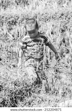 LAO CHAI VILLAGE, VIETNAM - SEP 22, 2014: Unidentified Hmong little boy plays in the field in Lao Chai. Hmong is on of the minority eethnic group in Vietnam