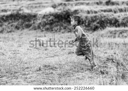 TA PHIN, LAO CAI, VIETNAM - SEP 21, 2014:  Unidentified Red Dao boy runs in the field. Red Dao is one of the minority ethnic groups in Vietnam