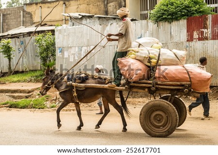 OMO, ETHIOPIA - SEPTEMBER 19, 2011: Unidentified Ethiopian man on a donkey carriage in the street. People in Ethiopia suffer of poverty due to the unstable situation