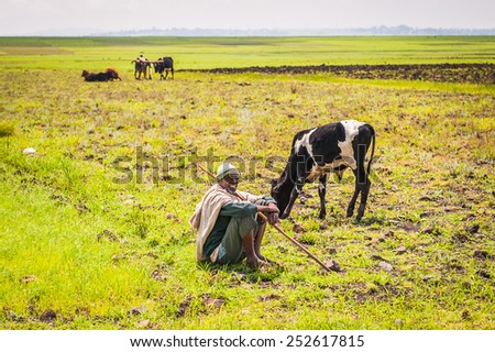 OMO, ETHIOPIA - SEPTEMBER 19, 2011: Unidentified Ethiopian man and a cow.  People in Ethiopia suffer of poverty due to the unstable situation