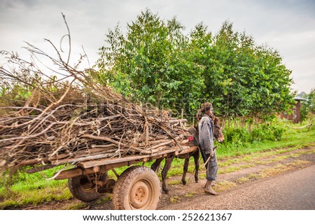 OMO, ETHIOPIA - SEPTEMBER 19, 2011: Unidentified Ethiopian man  with a horse carriage. People in Ethiopia suffer of poverty due to the unstable situation
