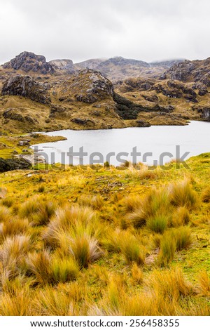 Lagoon of the Cajas National Park (Parque Nacional Cajas), a national park in the highlands of Ecuador
