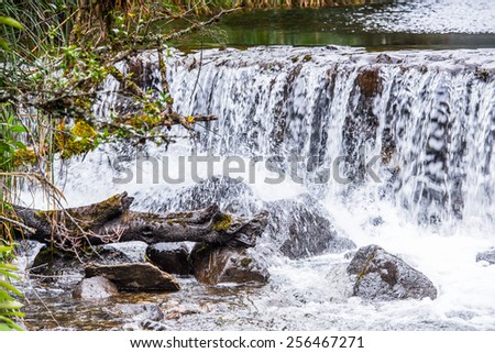 Creek of the Cajas National Park (Parque Nacional Cajas), a national park in the highlands of Ecuador
