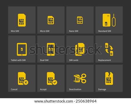 Set of SIM cards different sizes icons. Vector illustration.