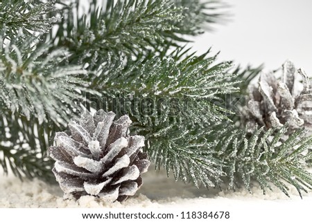 snow-covered fir branches and cones on snow