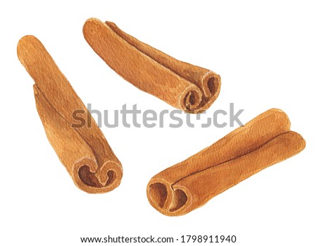 Cinnamon sticks isolated on white background. Hand drawn watercolor illustration.