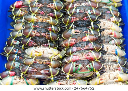 Live Crabs ready to be cooked in a market.