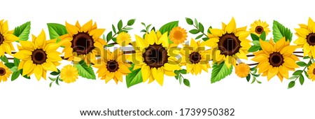Free Free 153 Sunflower Border Clipart Free SVG PNG EPS DXF File