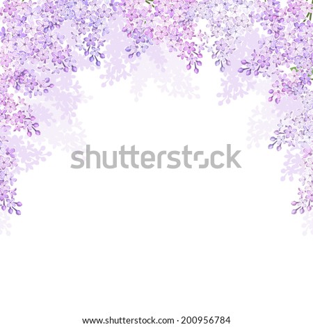 Download Flowers Lilac Wallpaper 2560x1600 | Wallpoper #391153