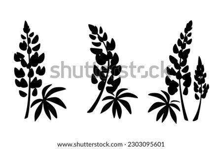 Similar – Image, Stock Photo lupin in flower Lupin