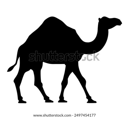 Camel. Black silhouette of a walking camel isolated on a white background. Hand-drawn illustration, not AI