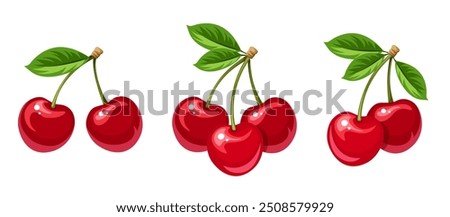 Cherry. Bunches of cherry berries isolated on a white background. Set of vector illustrations. Hand-drawn illustration, not AI