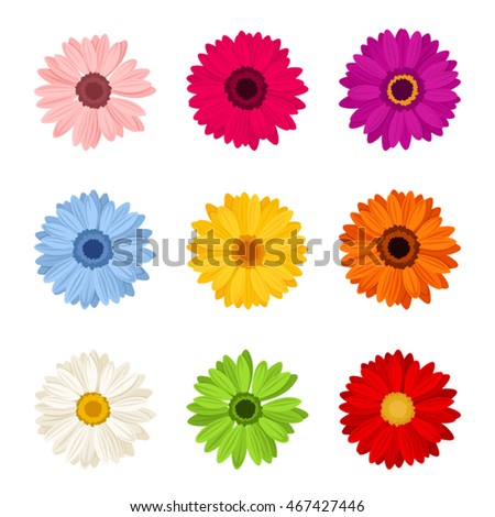 Vector set of nine colorful gerbera flowers isolated on a white background.