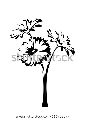 Three vector gerbera flowers with stems isolated on a white background.