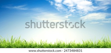 Similar – Image, Stock Photo Closeup of green fluffy moss on stone