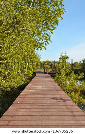 Wooden bridge for walking and nature study.