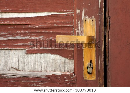 Old ruined wooden door detail