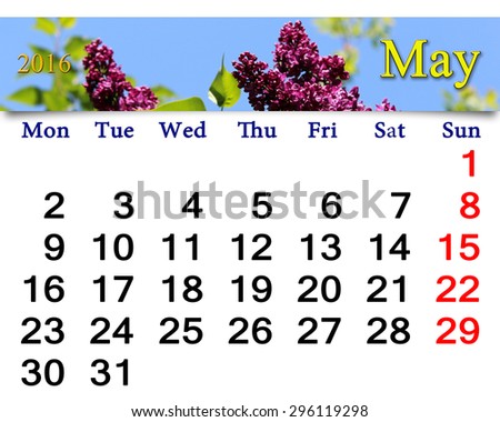 calendar for May of of next year with flowers of lilac. Calendar for printing and using in office life.