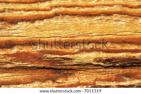 colorful wood skin texture background under sunshine with several parallel stripes.