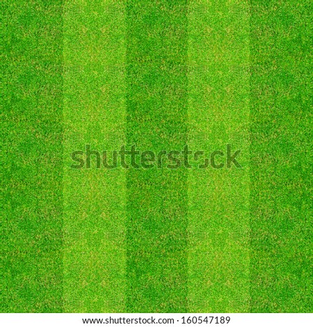 green natural grass of a Football  playground