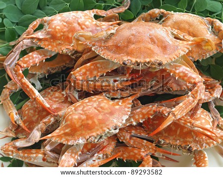 freshly boiled crab dish