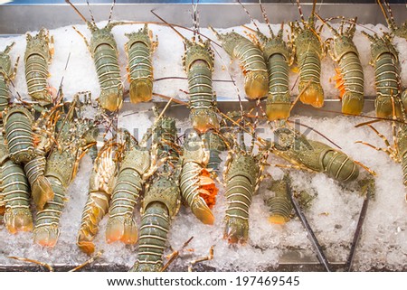 Spiny lobster in ice tray at Thailand market