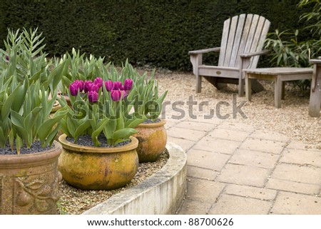 A garden scene with a curved wall, patio, wooden garden furniture and some flower pots with tulips in them.