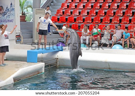 VARNA, BULGARIA - JULY 14: Dolphins during performance in dolphinarium Varna on July 14, 2013 in Varna