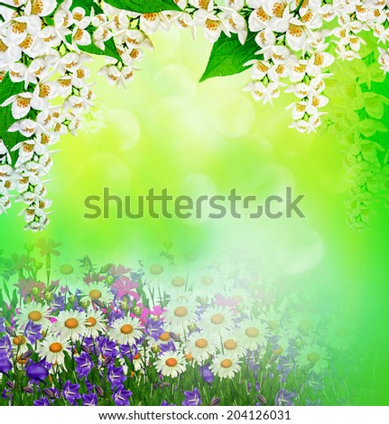 field daisy flowers and bells isolated on white background