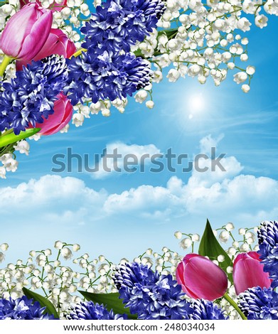 spring flowers lilies of the valley and tulips against a blue sky with clouds