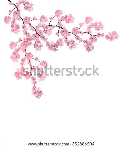 Similar – Image, Stock Photo Apple tree blossom isolated on dark grey background, close up macro. White delicate spring flowers. Black and white monochome floral background with petals and pollen petals