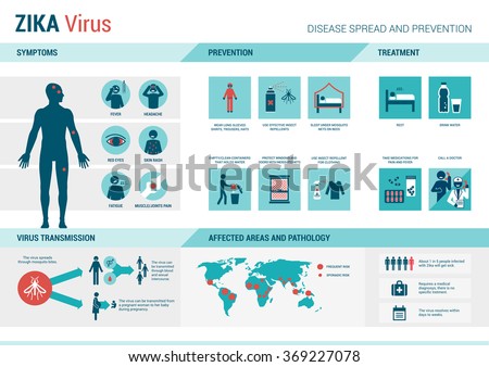 Zika virus infographic: prevention, symptoms and treatment