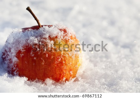apple in to snow