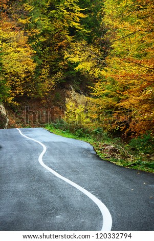 Curving road in autumn landscape