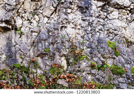 Abstract Natural