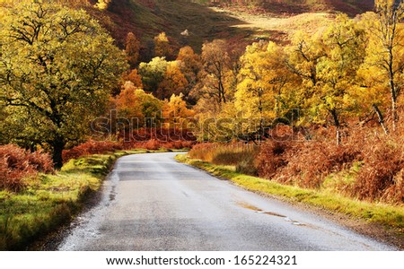 Road in Highlands of Scotland, Europe