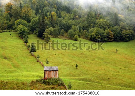 Alpine cottage an an alpine meadow