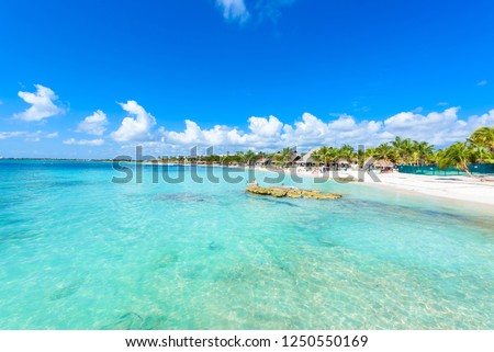 Riviera Maya - paradise beach Akumal at Cancun, Quintana Roo, Mexico - Caribbean coast - tropical destination for vacation Сток-фото © 