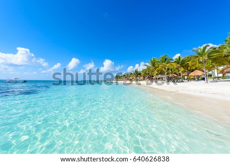 Akumal beach - paradise bay  Beach in Quintana Roo, Mexiko - caribbean coast Stock fotó © 