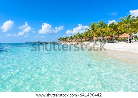 Akumal beach - paradise bay  Beach in Quintana Roo, Mexiko - caribbean coast Stock fotó © 