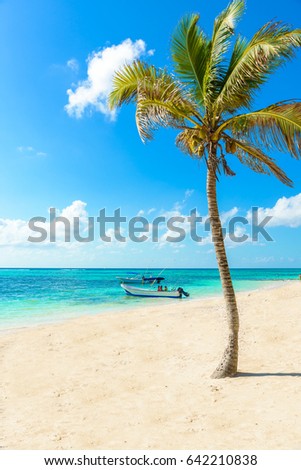 Akumal Beach