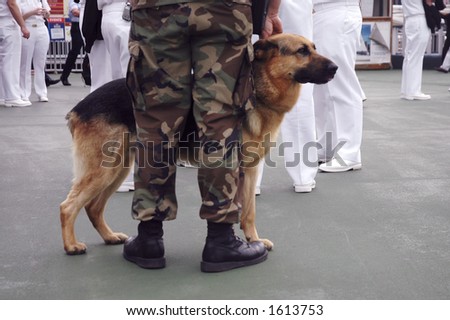 military dog during fleet week