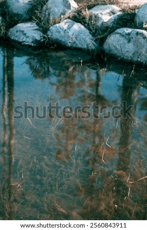 Similar – Image, Stock Photo Clear pond near rocks at sunset