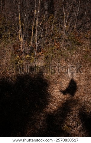 Similar – Image, Stock Photo shadowy figure on a nocturnal meadow by moonlight