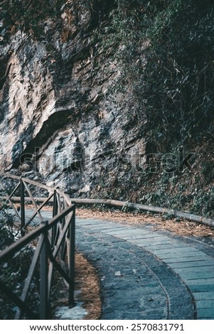 Similar – Image, Stock Photo Wooden path alongside the Vintgar Gorge