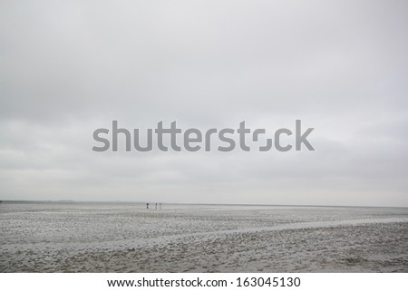 silhouettes of people walking on mudflat at the german north sea coast