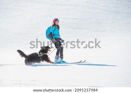 Similar – Image, Stock Photo Animal crosses the piste at high speed