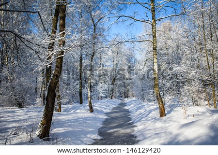 Beautiful winter landscape with snow covered trees and sunshine